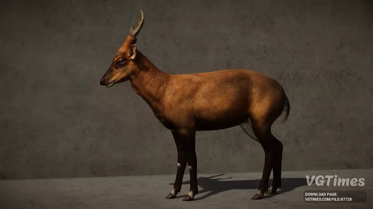 Planet Zoo — Гигантский мунтжак — новый вид (1.20)