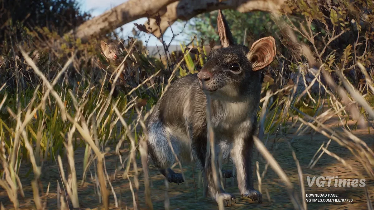 Planet Zoo — Пахирухус мойяни — вымерший новый вид (1.20)