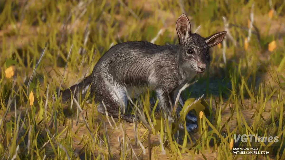 Planet Zoo — Пахирухус мойяни — вымерший новый вид (1.20)