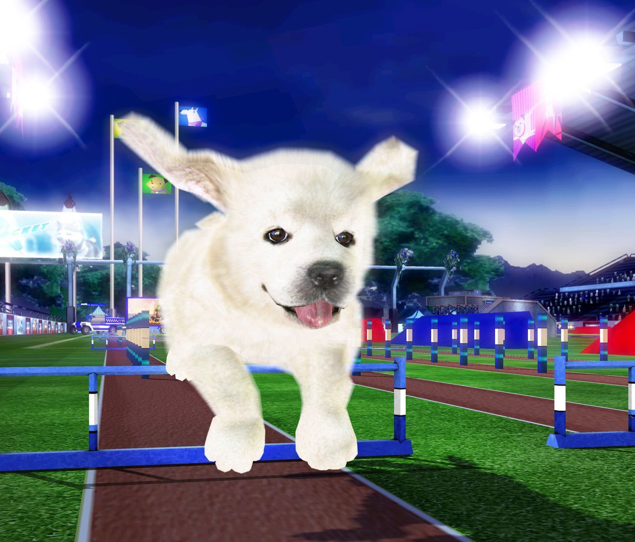 Pet sports. Petz Sports. Dogz Petz Sport. Игра Petz Sports. Petz Sports: Dog Playground.