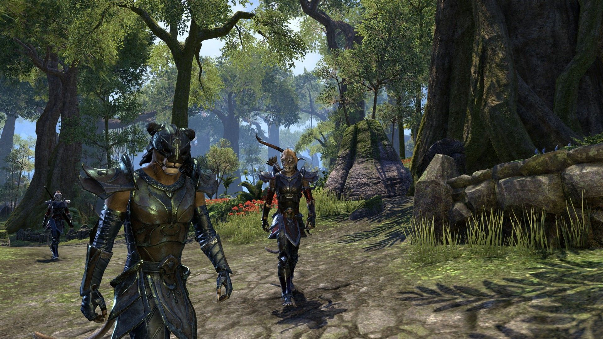 The elder scrolls online tamriel unlimited steam фото 20