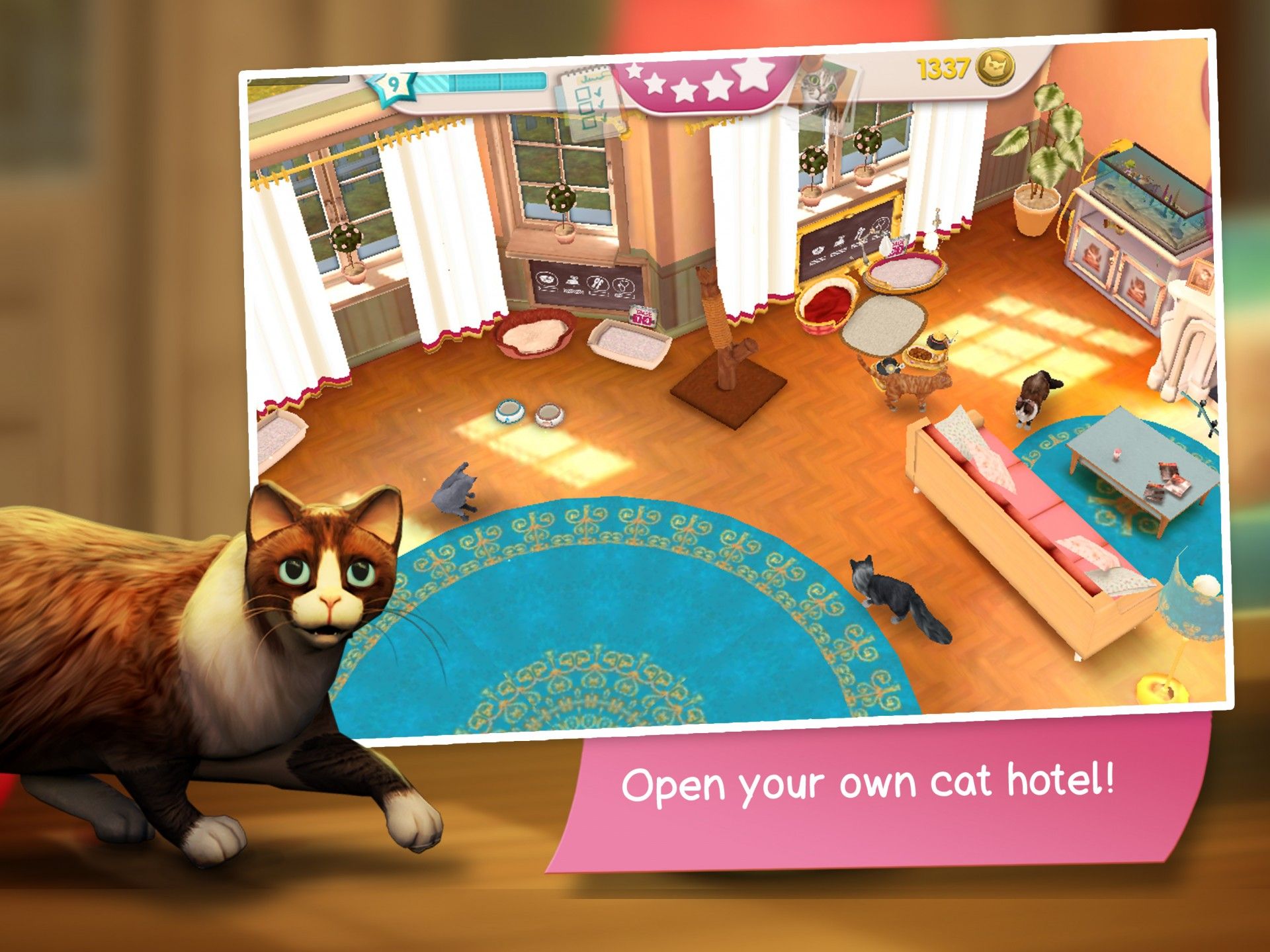 Игры животные кошки. CATHOTEL мой приют для кошек. Cat Hotel мой приют для кошек. Отель для кошек игра. Игра мой приют для кошек.
