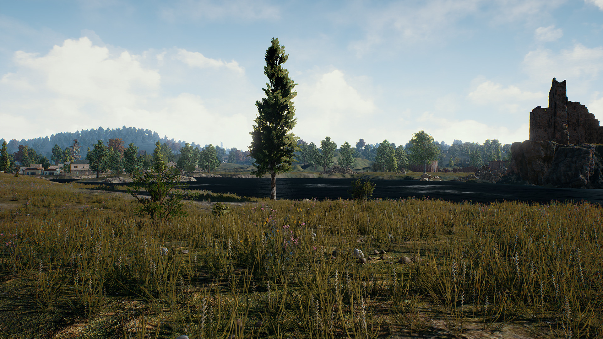 Pubg lite на пк белый экран фото 112