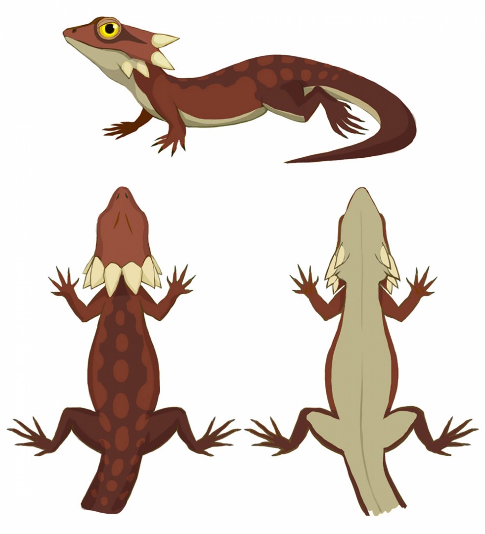 Hightail lizards