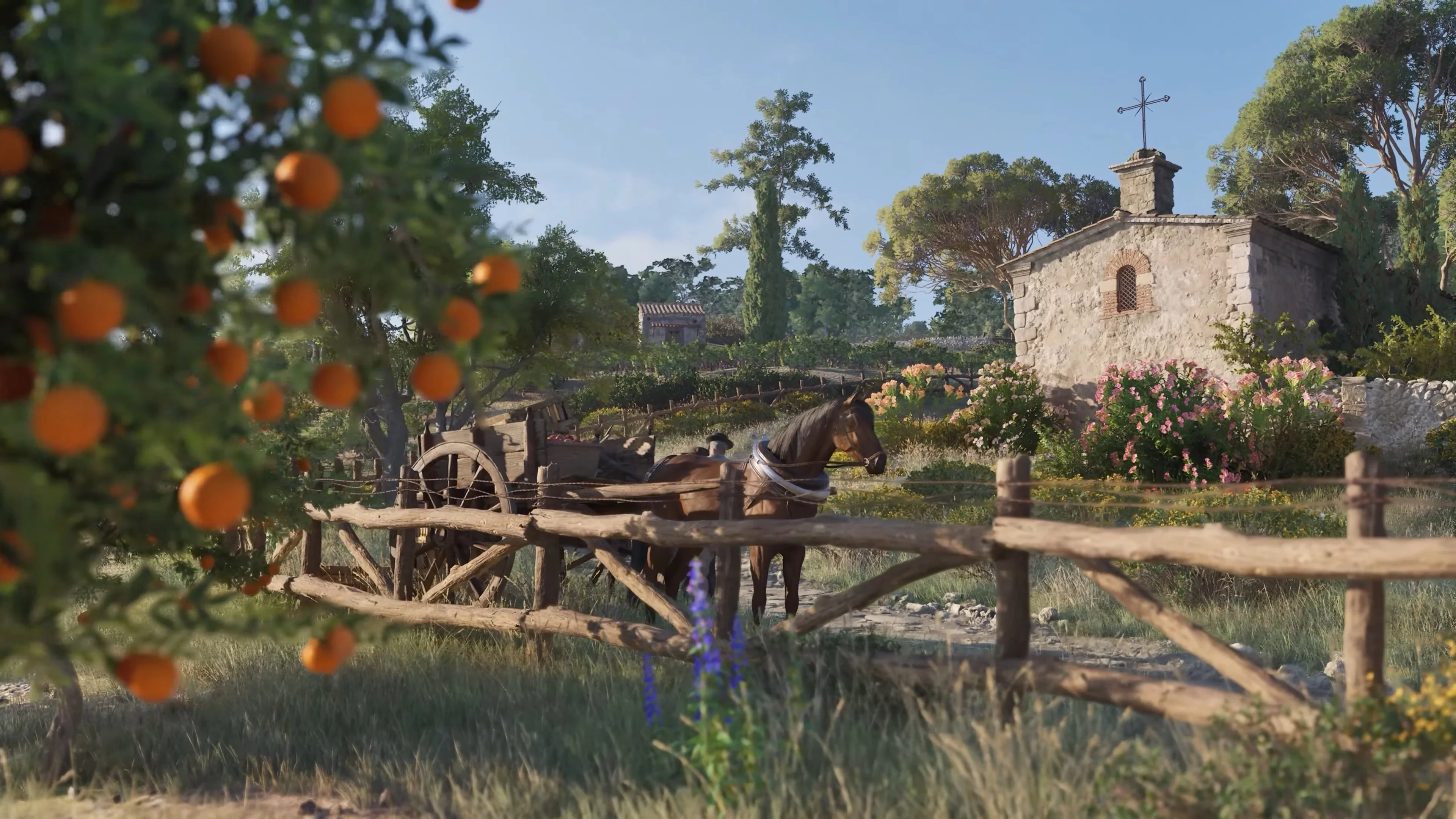 6490997080_1746909007_gqcpp3kxiaif5kz.we