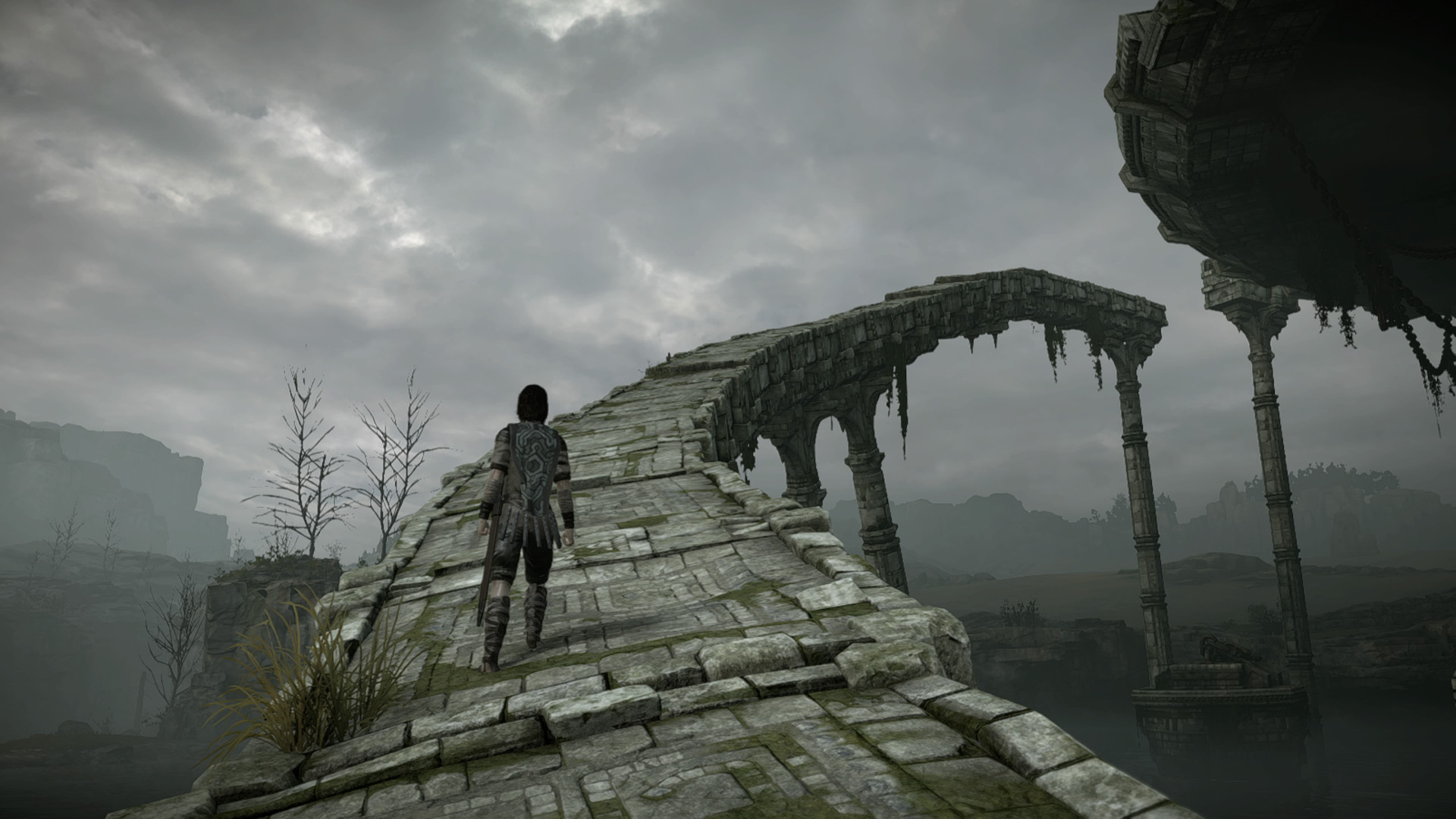 Shadow of the colossus 2018 steam фото 85
