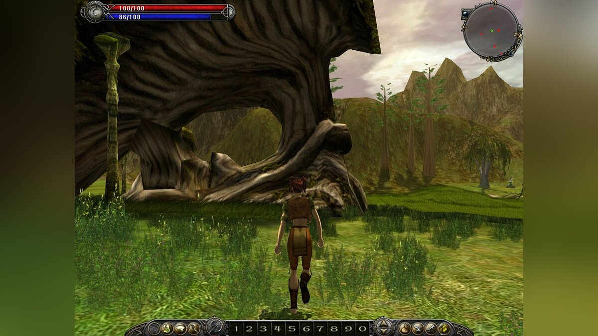 Asheron's Call 2: Fallen Kings. Asheron's Call геймплей. Падший Король игра. Asheron's Call карта.