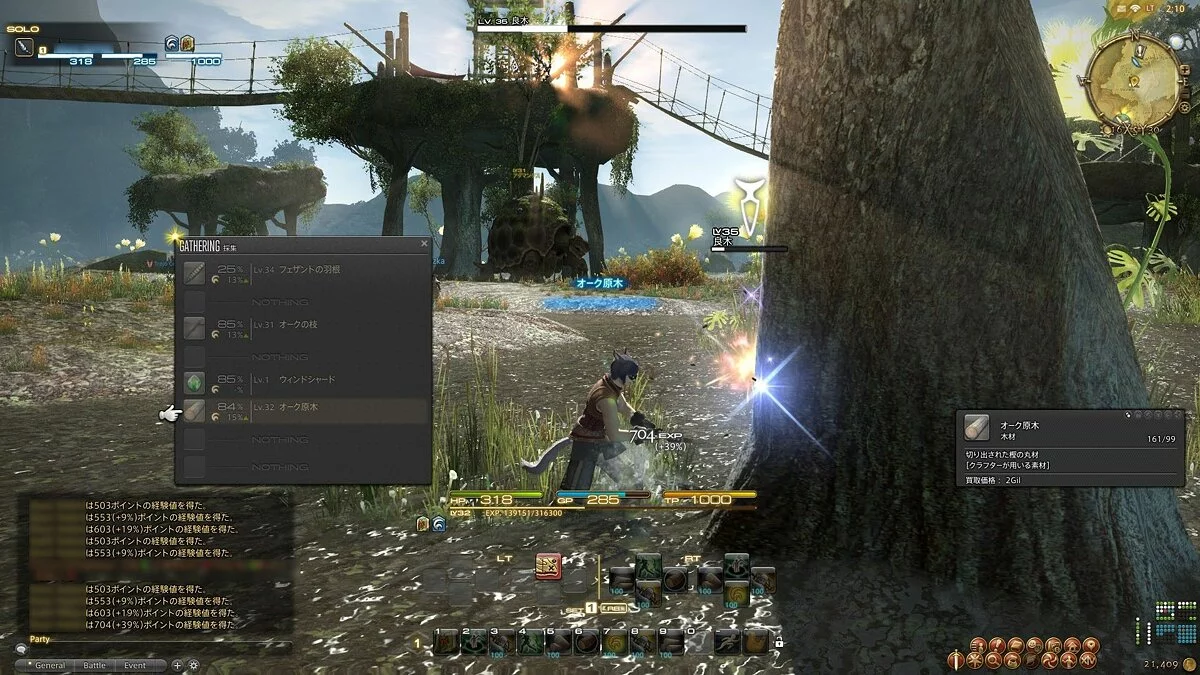 Скриншоты из Final Fantasy XIV Online / Картинка 195