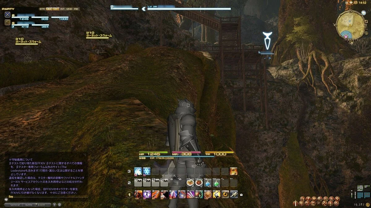 Скриншоты из Final Fantasy XIV Online / Картинка 199