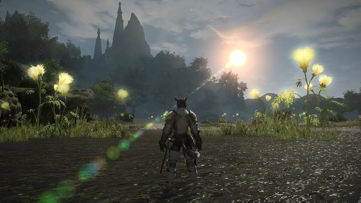 Скриншоты из Final Fantasy XIV Online / Картинка 210
