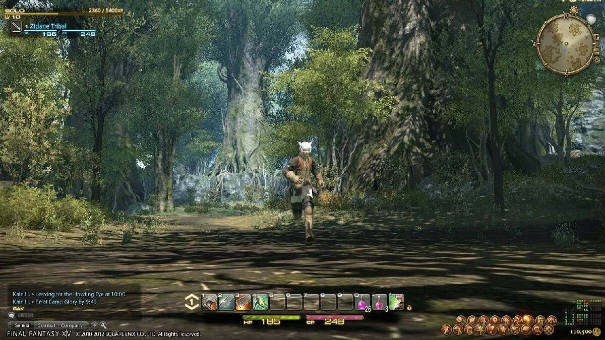 Скриншоты из Final Fantasy XIV Online / Картинка 474