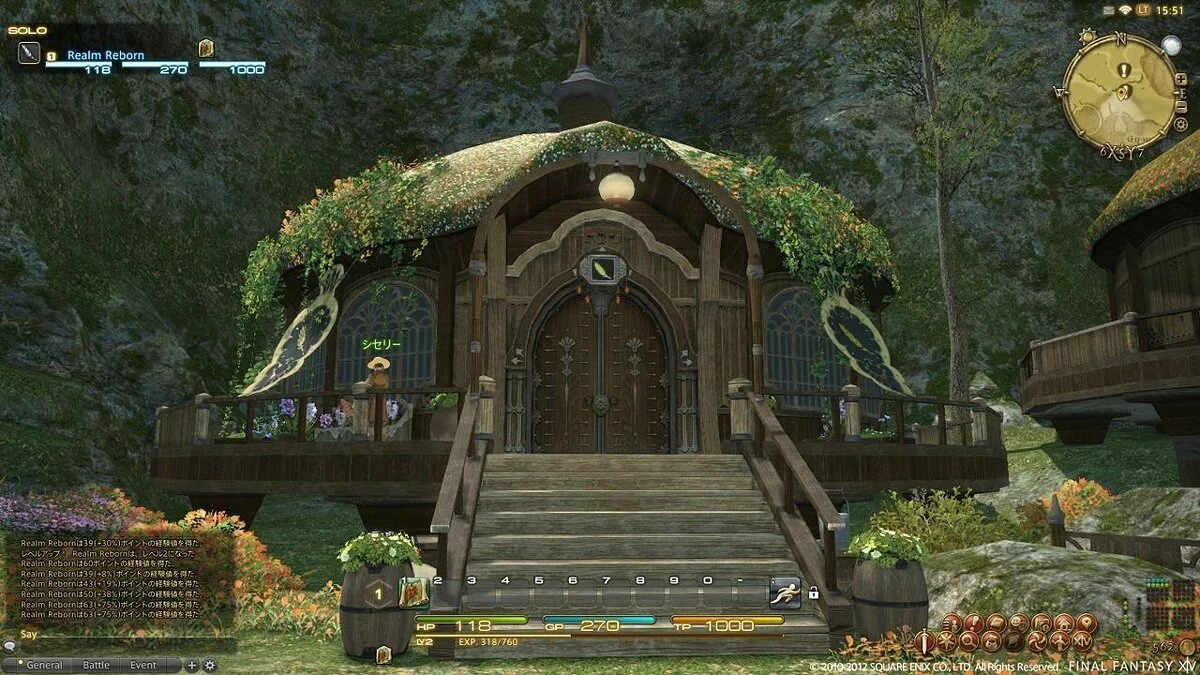 Скриншоты из Final Fantasy XIV Online / Картинка 50