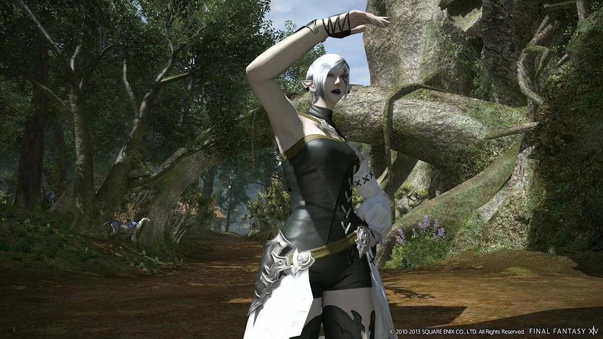 Скриншоты из Final Fantasy XIV Online / Картинка 107