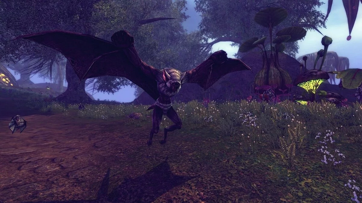 Картинка из 