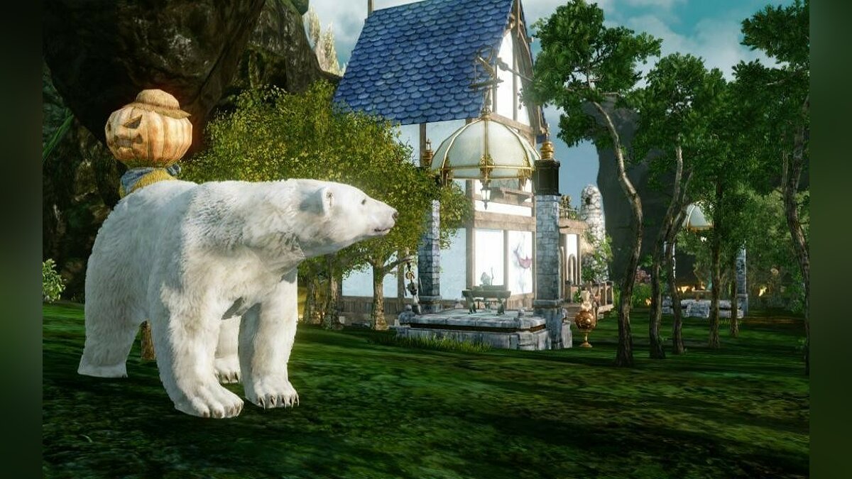 ArcheAge не устанавливается