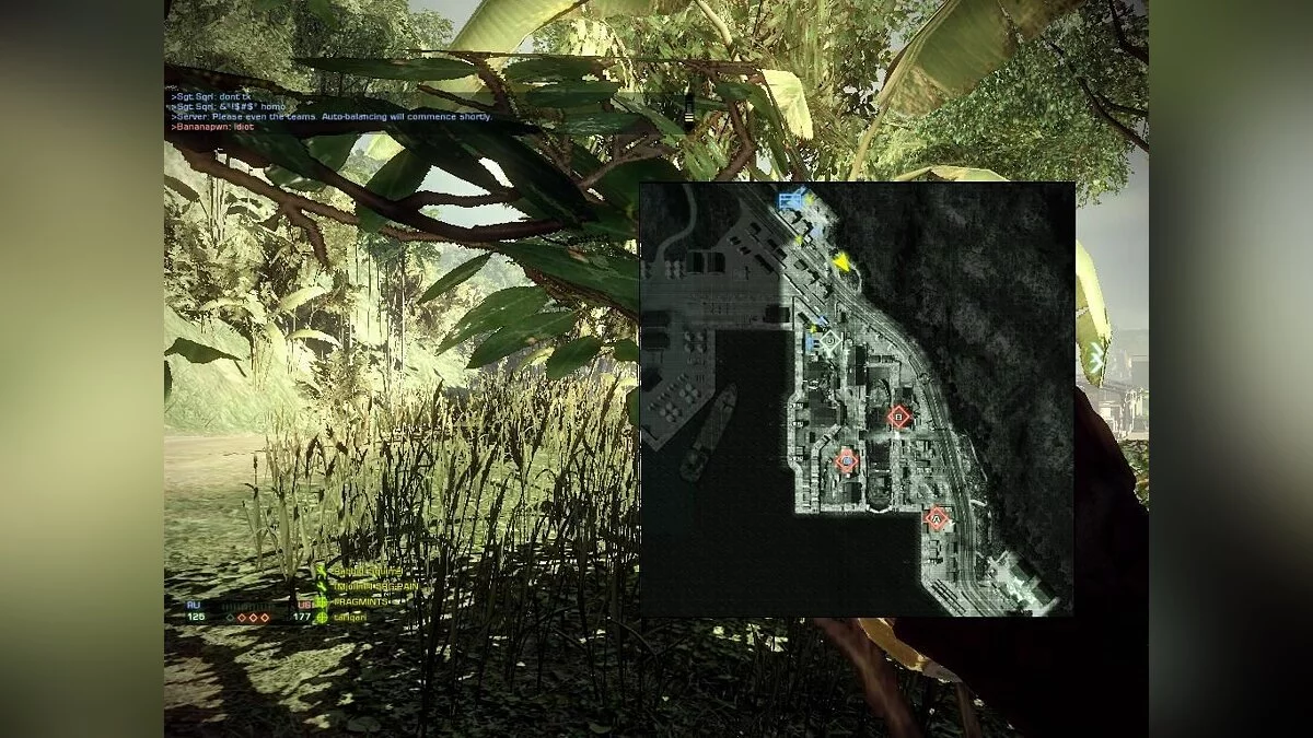 Скриншоты из Battlefield: Bad Company 2 - Vietnam / Картинка 683