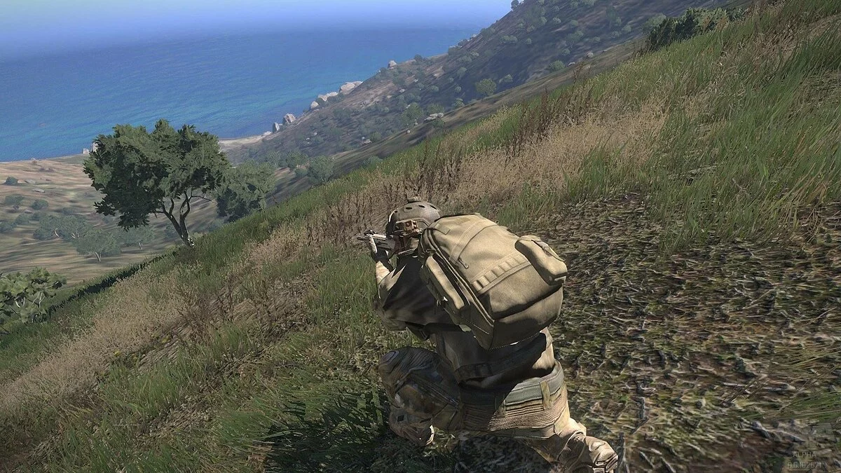 Скриншоты из ArmA 3 / Картинка 323