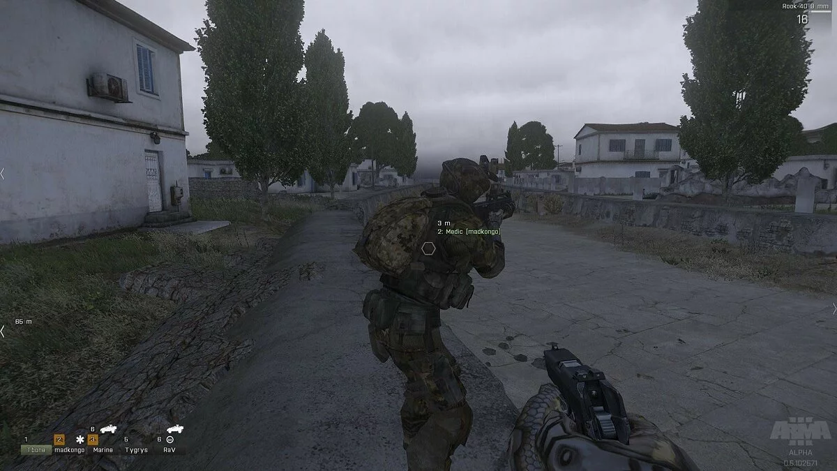 Скриншоты из ArmA 3 / Картинка 325