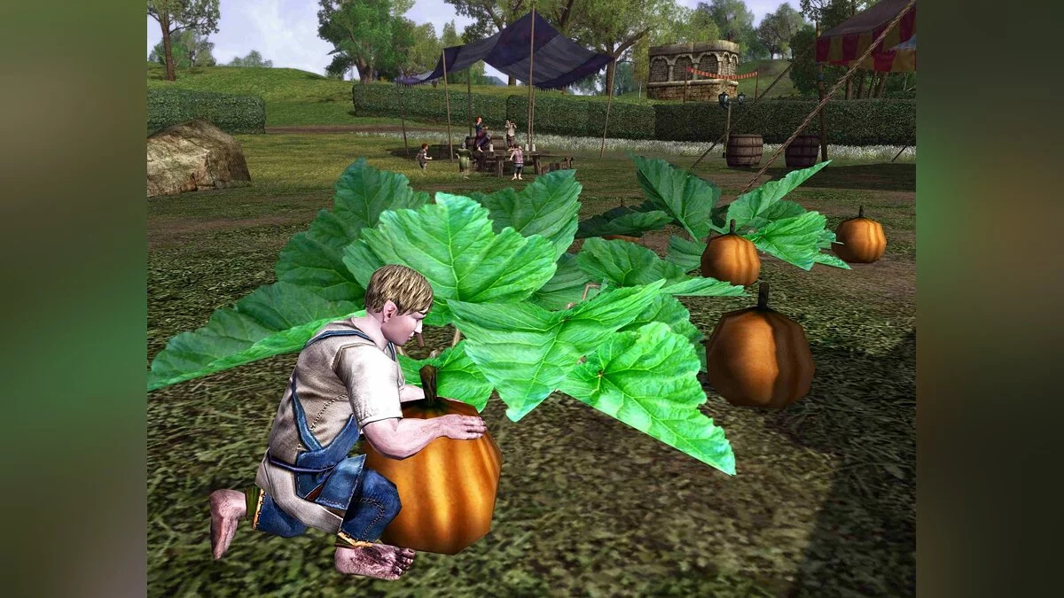Скриншоты из Lord of the Rings Online: Riders of Rohan