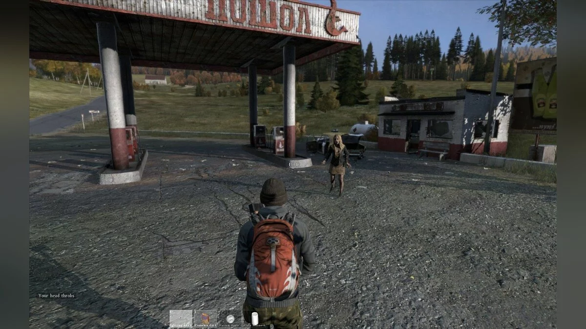 Скриншоты из DayZ / Картинка 41