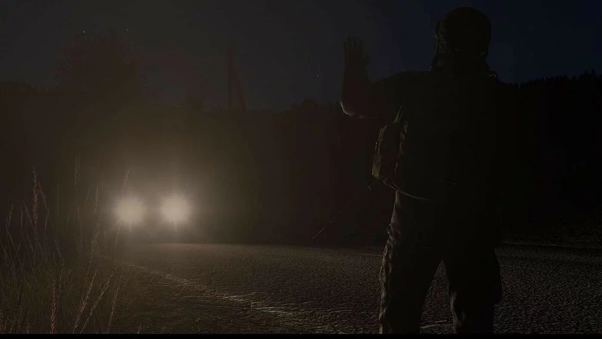 Скриншоты из DayZ / Картинка 133