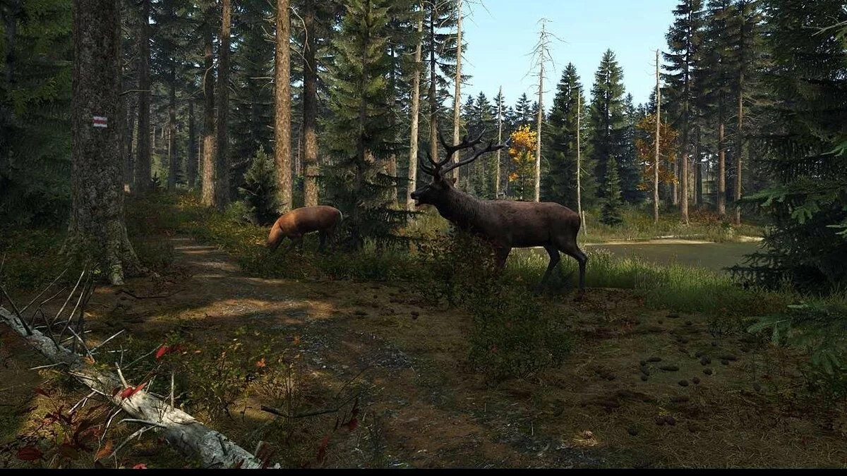 Скриншоты из DayZ / Картинка 134