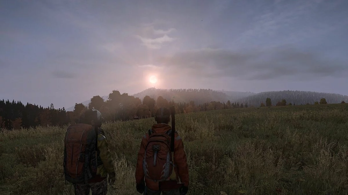 Скриншоты из DayZ / Картинка 52