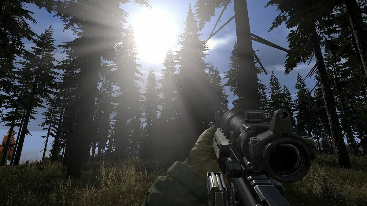 Скриншоты из DayZ / Картинка 65