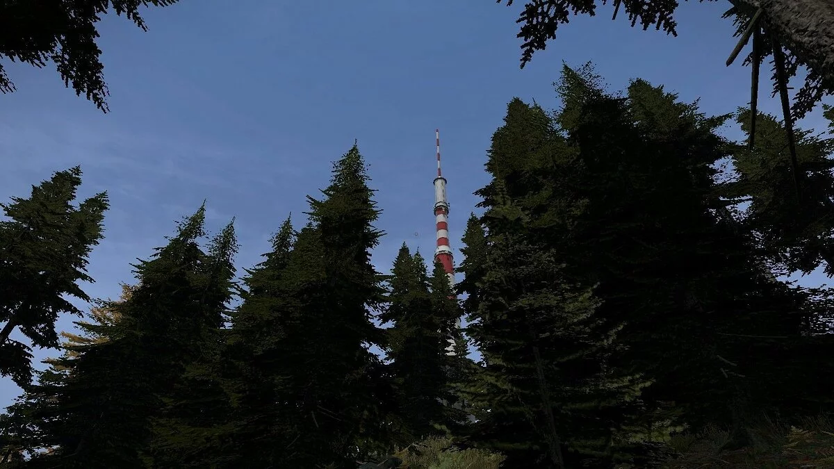 Скриншоты из DayZ / Картинка 86