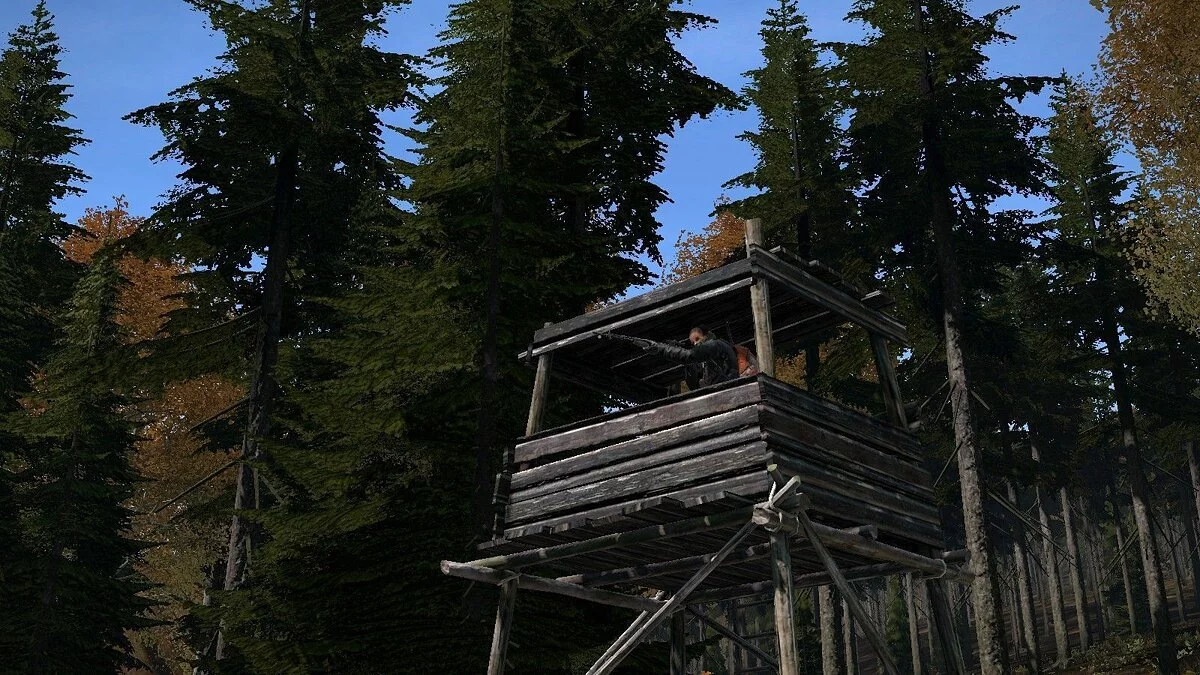 Скриншоты из DayZ / Картинка 110