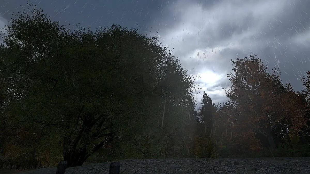 Скриншоты из DayZ / Картинка 115