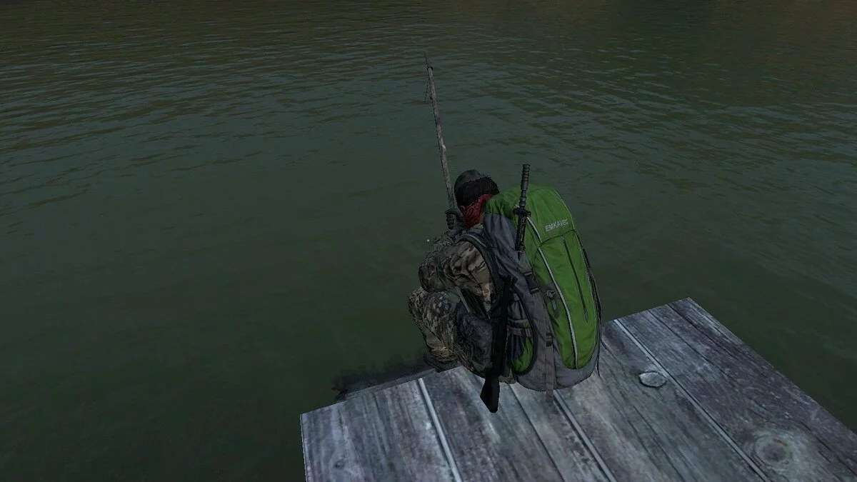 Скриншоты из DayZ / Картинка 116