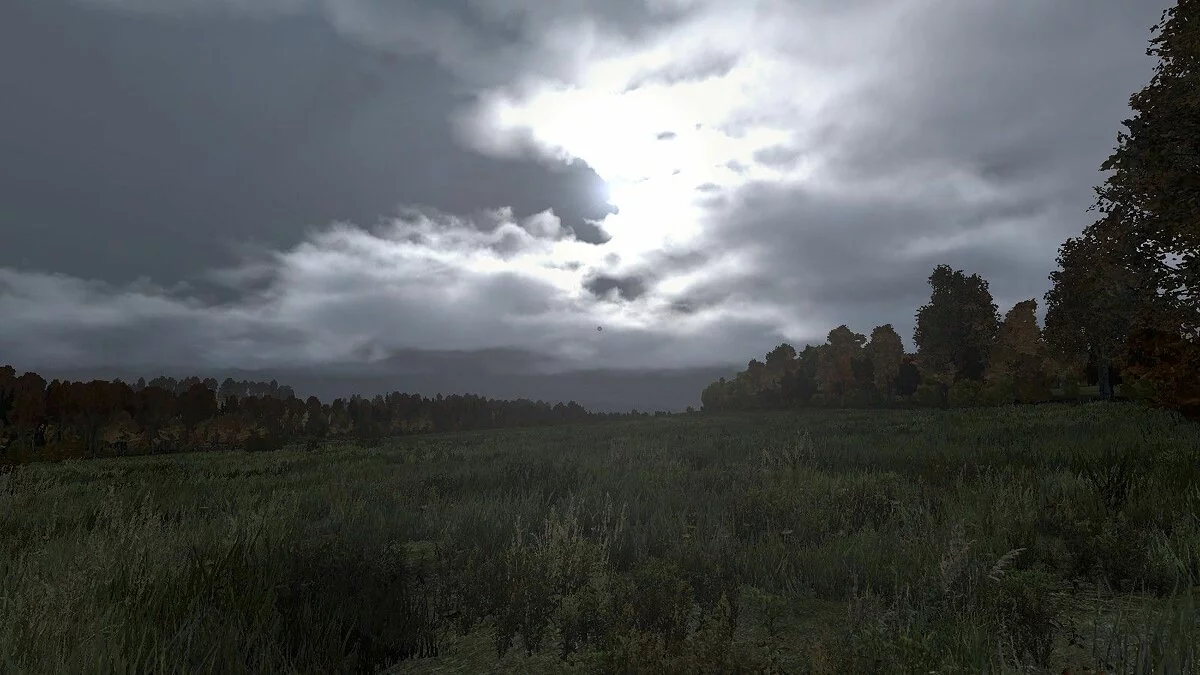 Скриншоты из DayZ / Картинка 121