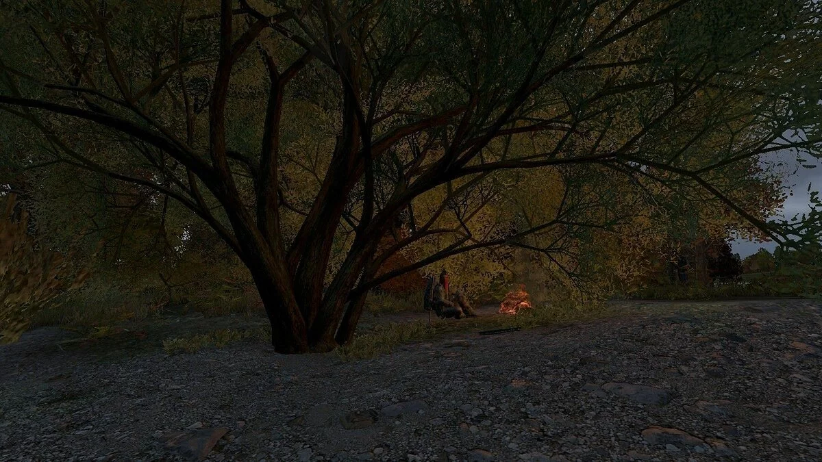 Скриншоты из DayZ / Картинка 122