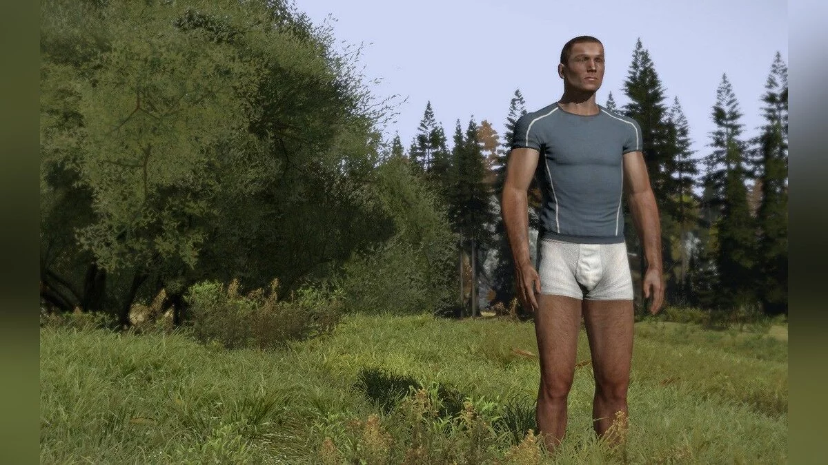 Скриншоты из DayZ / Картинка 15