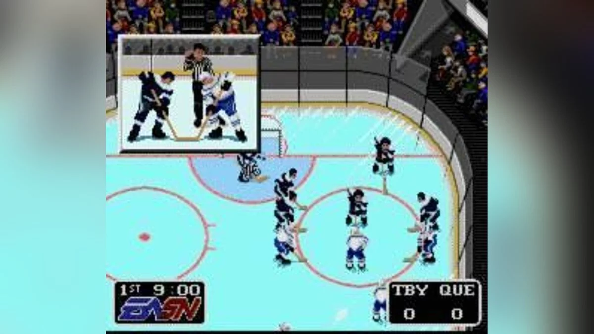 Скриншоты из Brett Hull Hockey