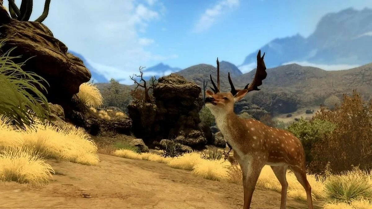 Скриншоты из Cabela's Big Game Hunter 2010