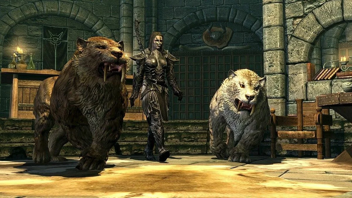 Скриншоты из The Elder Scrolls 5: Skyrim Legendary Edition / Картинка 225