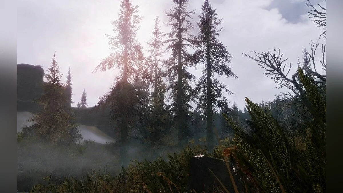Скриншоты из The Elder Scrolls 5: Skyrim Legendary Edition / Картинка 303