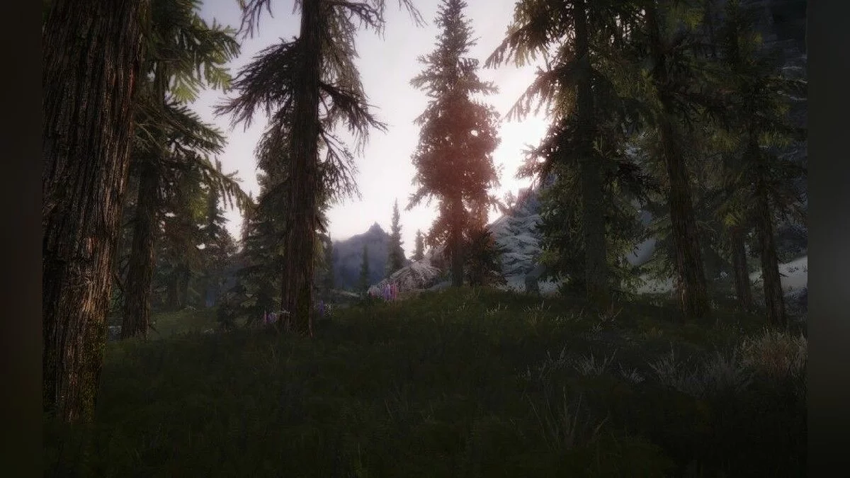Скриншоты из The Elder Scrolls 5: Skyrim Legendary Edition / Картинка 307