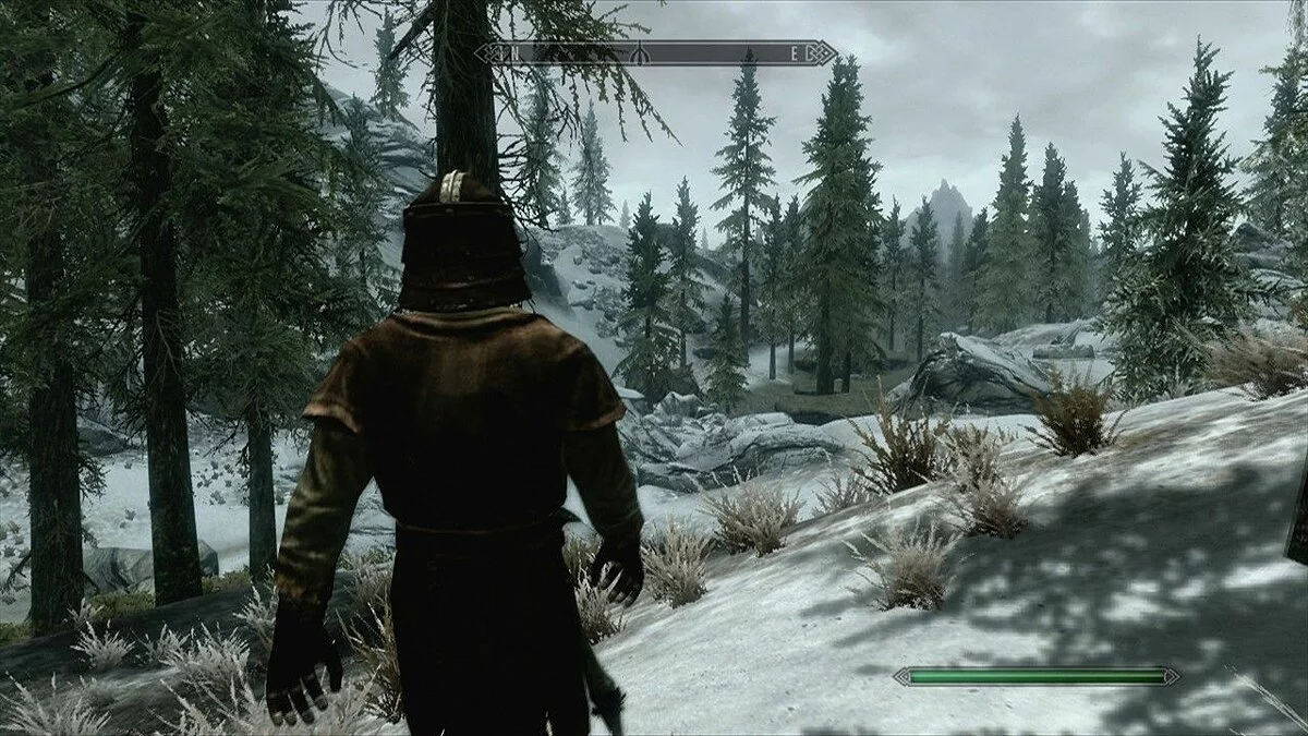 Скриншоты из The Elder Scrolls 5: Skyrim Legendary Edition / Картинка 86