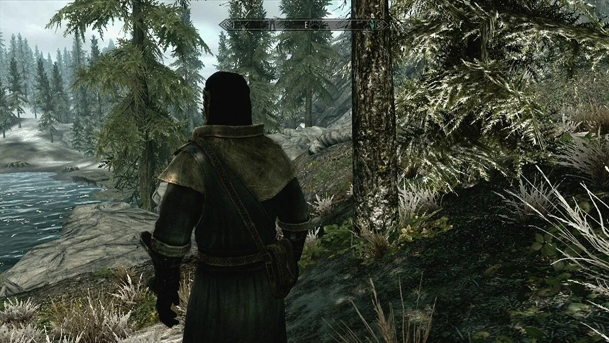 Скриншоты из The Elder Scrolls 5: Skyrim Legendary Edition / Картинка 89