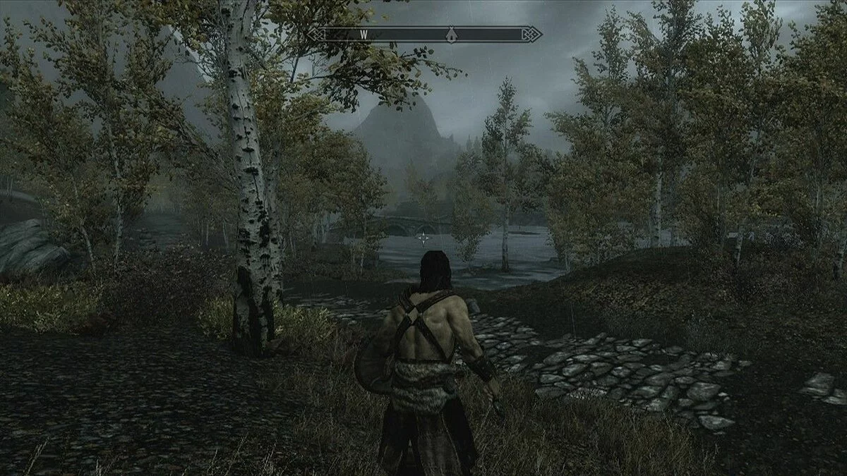 Скриншоты из The Elder Scrolls 5: Skyrim Legendary Edition / Картинка 109