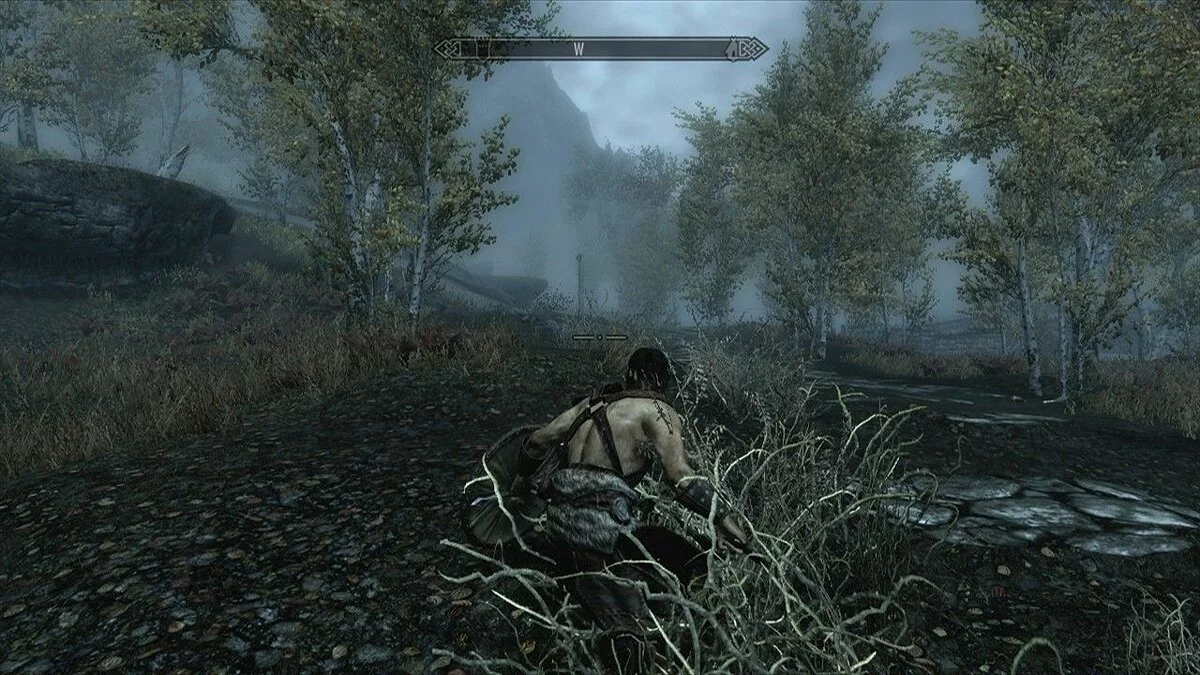 Скриншоты из The Elder Scrolls 5: Skyrim Legendary Edition / Картинка 138