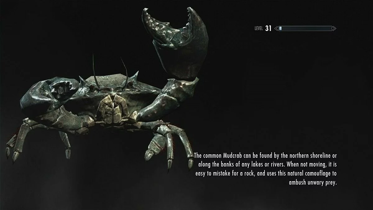 Скриншоты из The Elder Scrolls 5: Skyrim Legendary Edition / Картинка 120