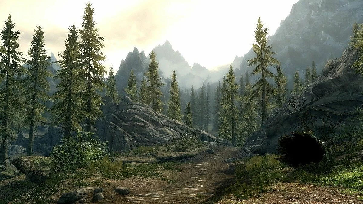 Скриншоты из The Elder Scrolls 5: Skyrim / Картинка 12