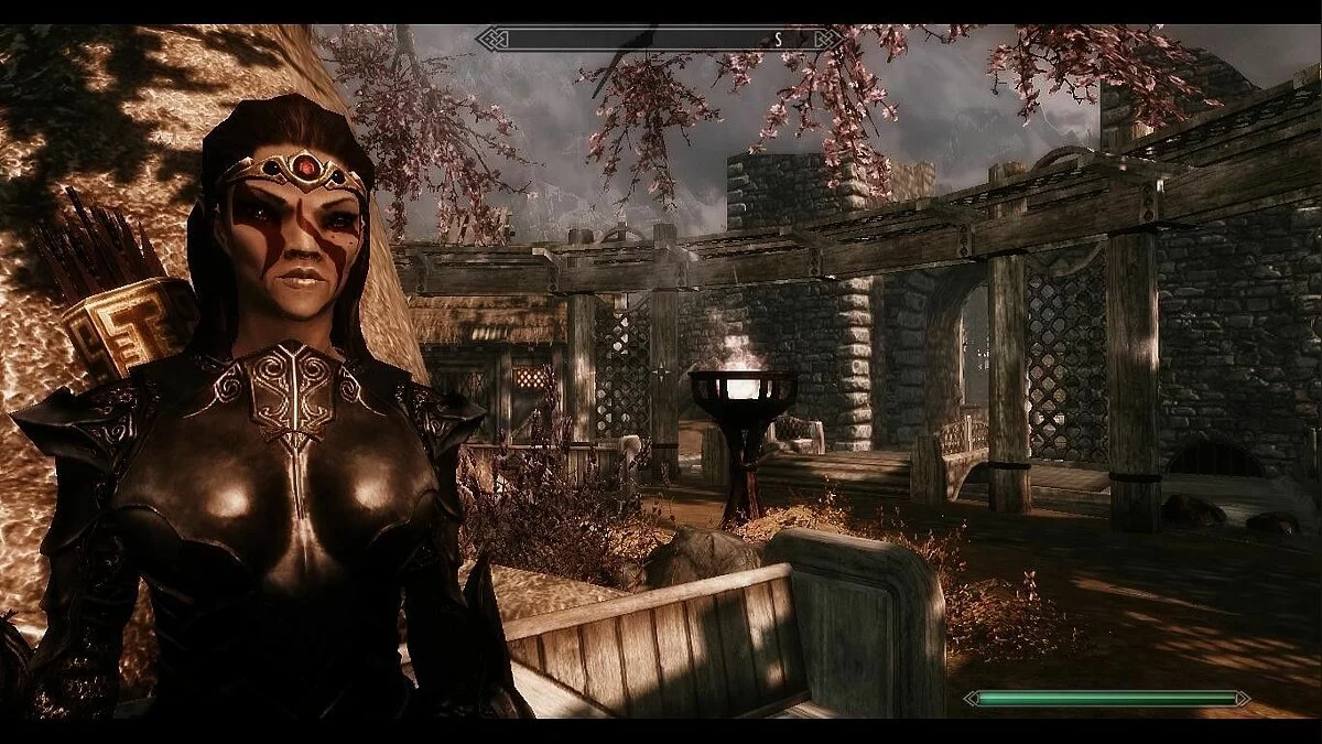 Скриншоты из The Elder Scrolls 5: Skyrim Legendary Edition / Картинка 250