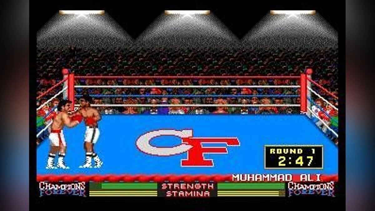 Скриншоты из Champions Forever Boxing