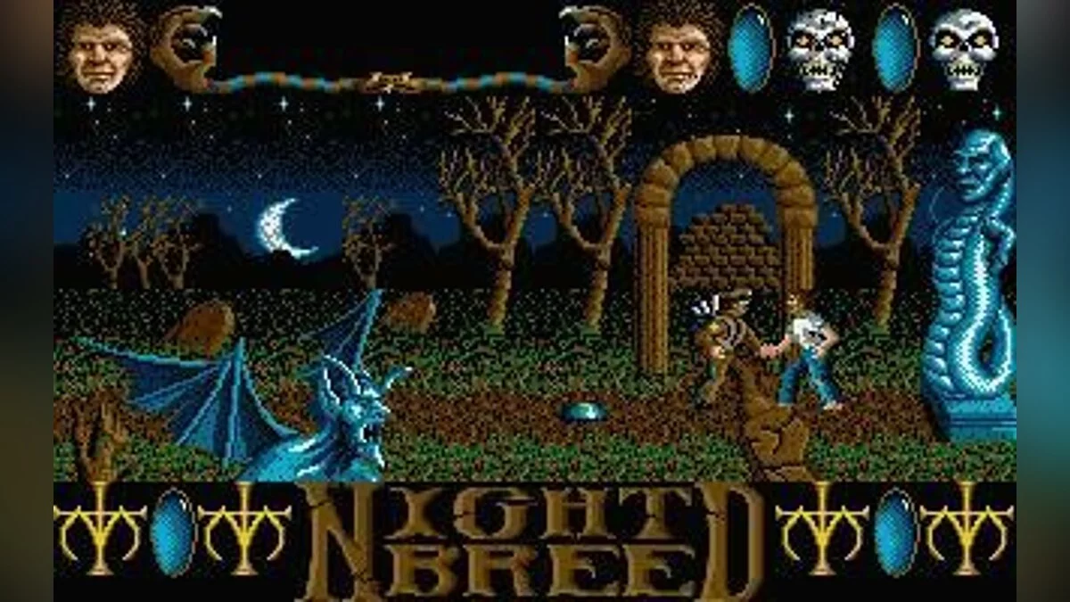 Картинка из 