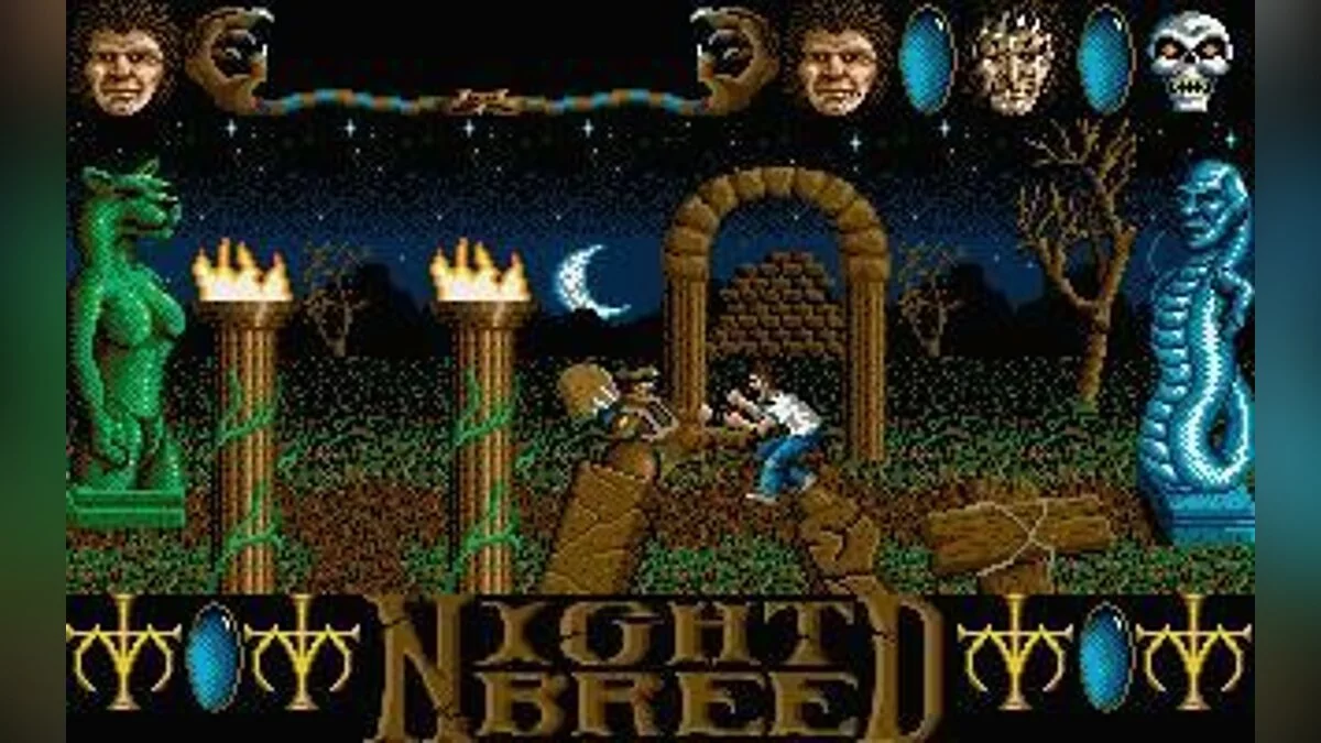 Картинка из 